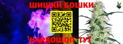 прущие грибы Малгобек