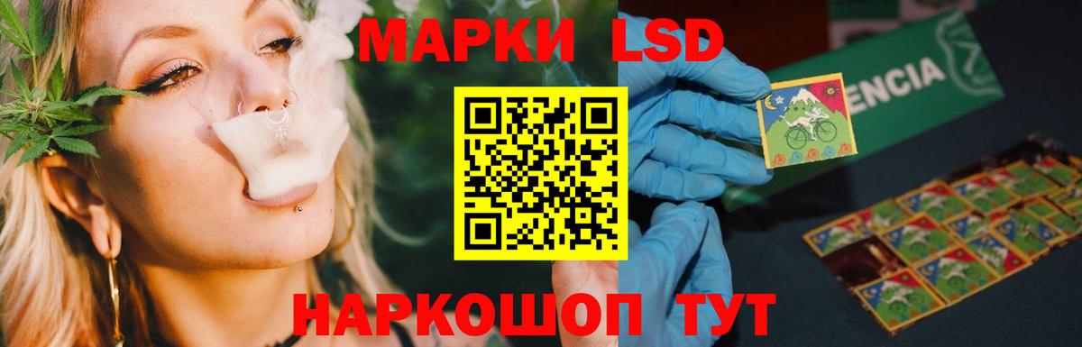LSD-25 Димитровград