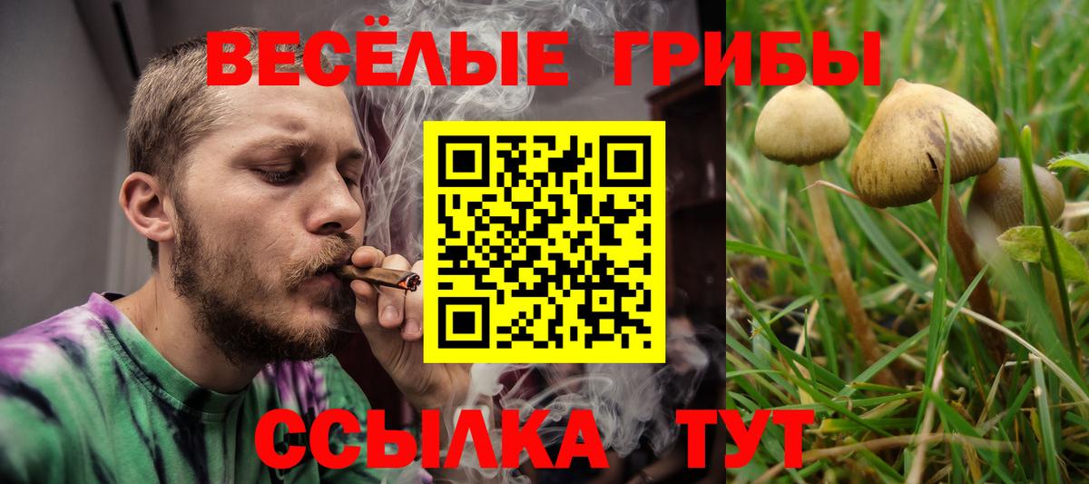 Псилоцибиновые грибы GOLDEN TEACHER Димитровград