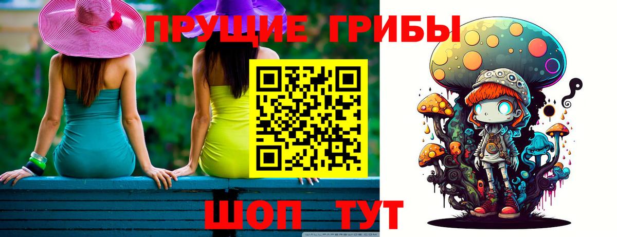 Псилоцибиновые грибы Psilocybine cubensis  Вход с VPN  Димитровград 